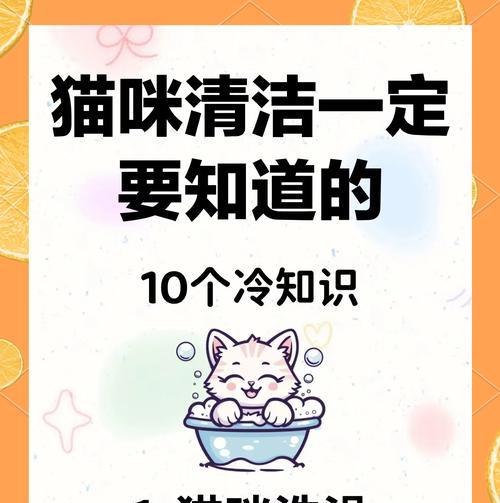 猫粮肚子沾毛怎么清洗？使用什么方法最有效？