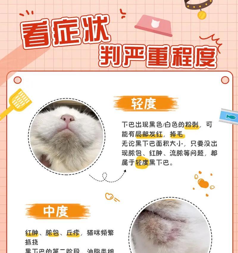 猫咪吃湿猫粮下巴脏了怎么办？如何清洁猫咪的下巴？