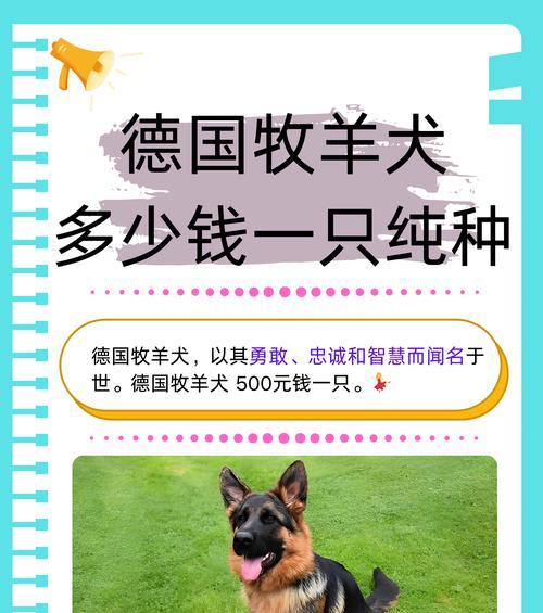 三个月大的德牧每天需要多少水？