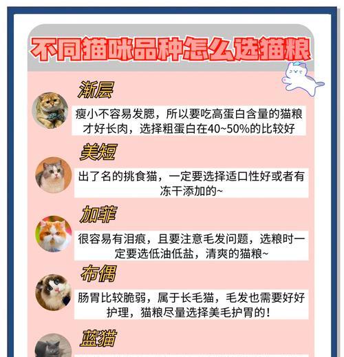 猫对盒子变出猫粮的反应如何处理？