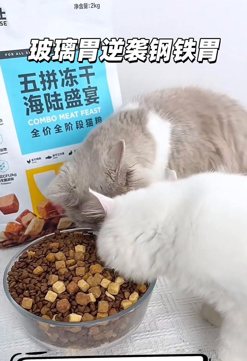 猫对盒子变出猫粮的反应如何处理？