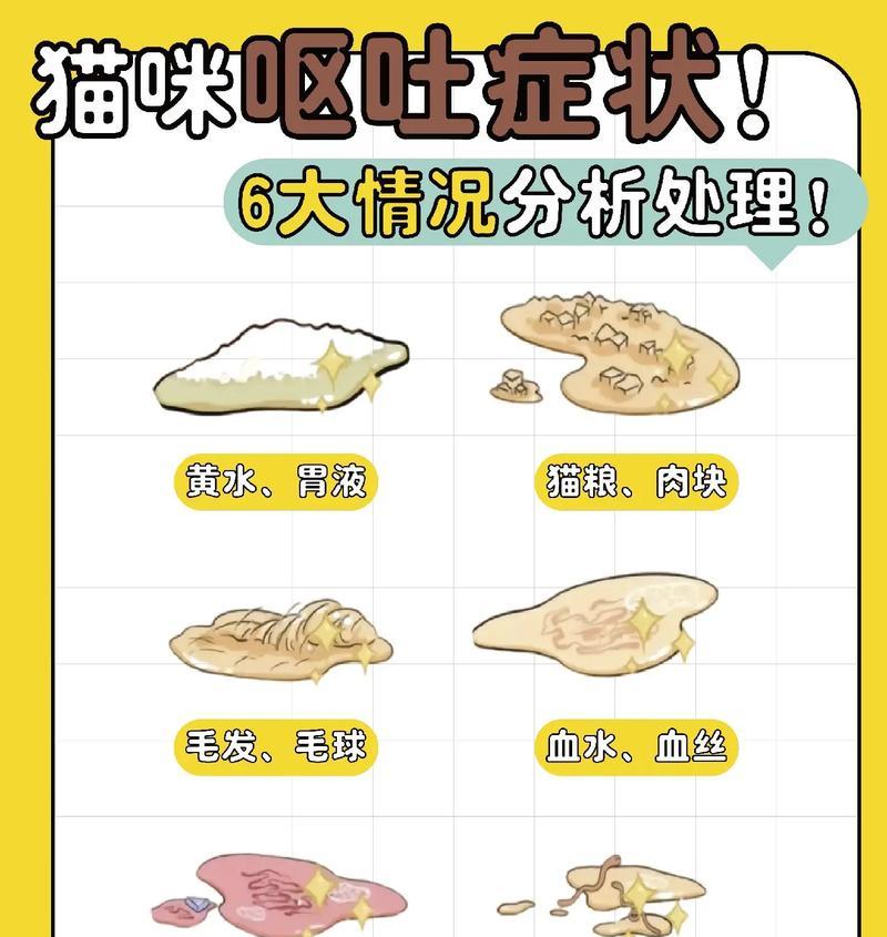 鲜朗猫粮导致呕吐的原因是什么？如何解决？