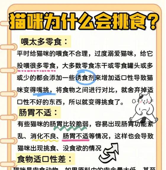 猫每天不吃猫粮还一直叫，该怎么办？