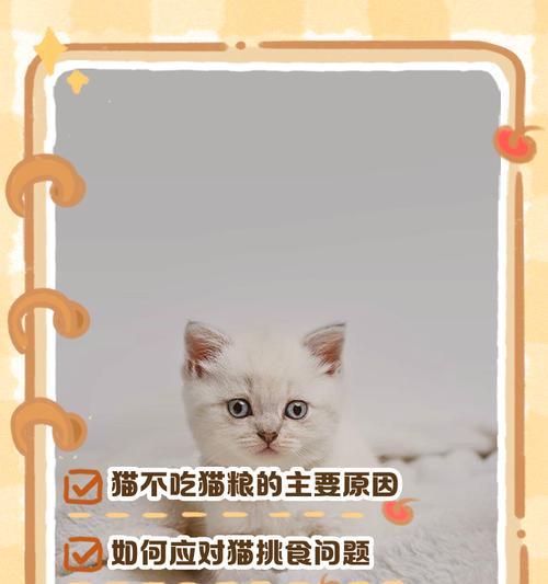 如何让猫咪喜欢上吃猫粮？