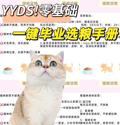猫粮铲子的正确使用方法是什么？