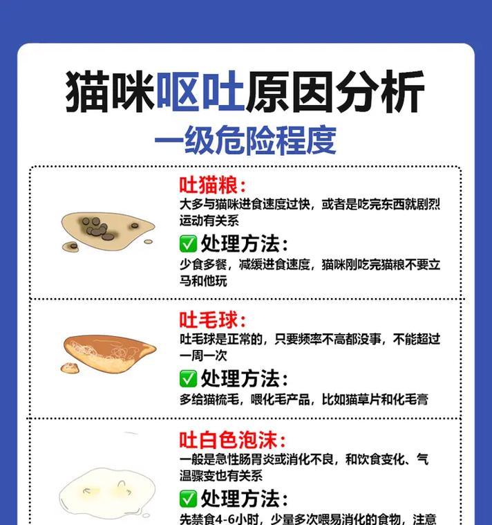 猫咪吐猫粮且精神不佳是什么原因？需要看兽医吗？