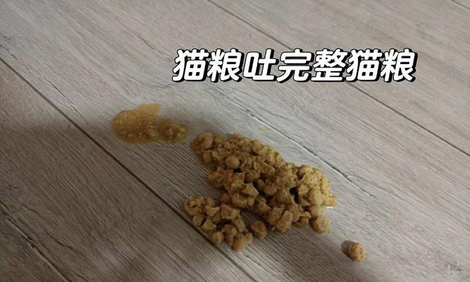猫咪吐猫粮且精神不佳是什么原因？需要看兽医吗？