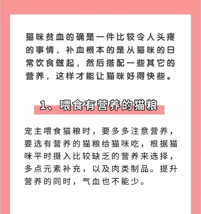 贫血猫适合吃什么猫粮？哪种成分对贫血有益？