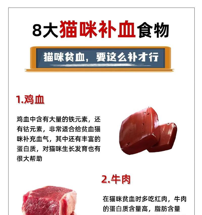 贫血猫适合吃什么猫粮？哪种成分对贫血有益？