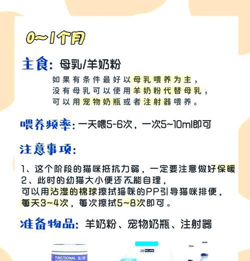 猫粮猫罐怎么喂？正确的喂食方法和注意事项是什么？