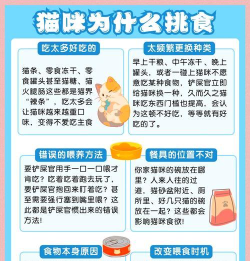 猫咪食用猫粮时呛到的原因是什么？如何预防这种情况？