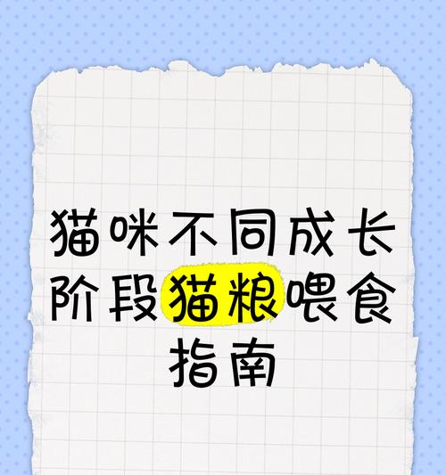 猫粮粉末化后如何喂食猫咪？