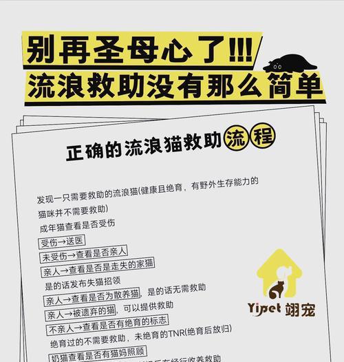 流浪猫救助粮干粮怎么喂？如何正确喂食流浪猫救助粮？