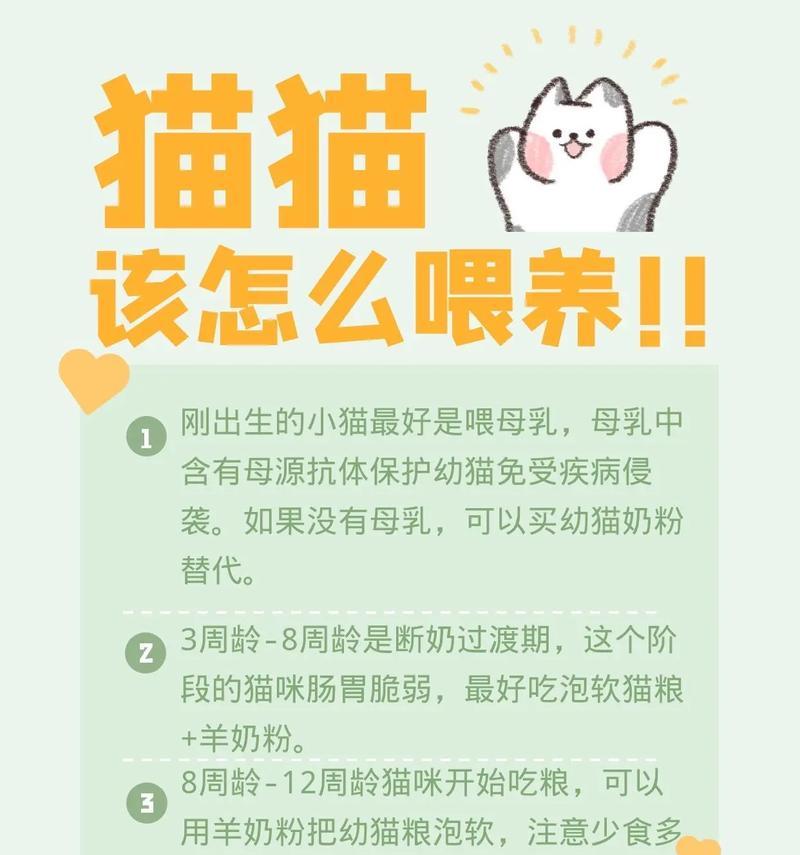 流浪猫救助粮干粮怎么喂？如何正确喂食流浪猫救助粮？
