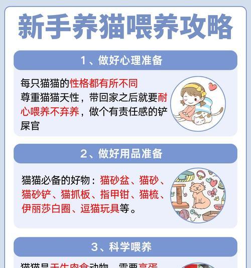 流浪猫救助粮干粮怎么喂？如何正确喂食流浪猫救助粮？