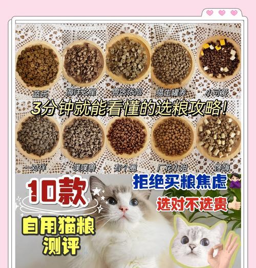 在猫粮堆里吃猫粮会怎么样？猫粮的正确储存方法是什么？