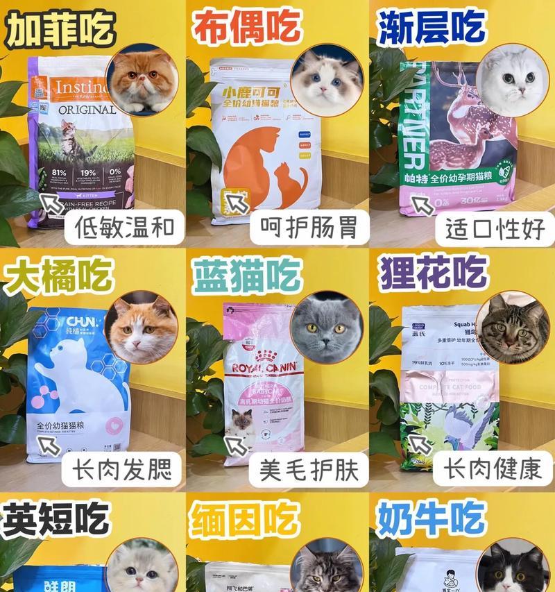 在猫粮堆里吃猫粮会怎么样？猫粮的正确储存方法是什么？