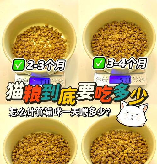 在猫粮堆里吃猫粮会怎么样？猫粮的正确储存方法是什么？