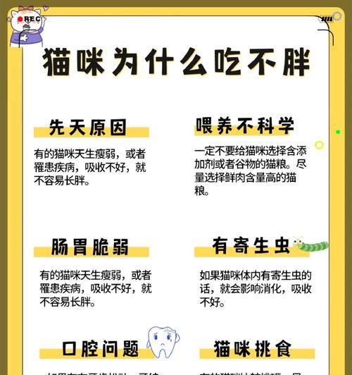 人吃猫粮真的会瘦吗？