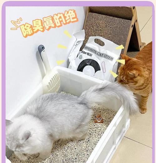 猫粮盆里拉屎吃猫砂如何解决？如何防止猫吃猫砂？