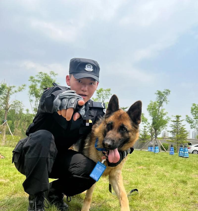 德牧作为警犬陪伴孩子是否合适？价格是多少？