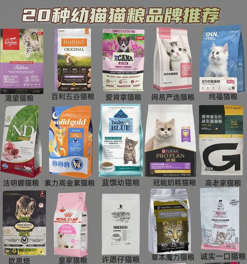 暹罗幼猫应该喂食哪种猫粮？如何选择合适的猫粮？