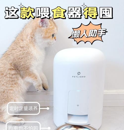 自制猫粮投喂器如何制作？使用方法是什么？
