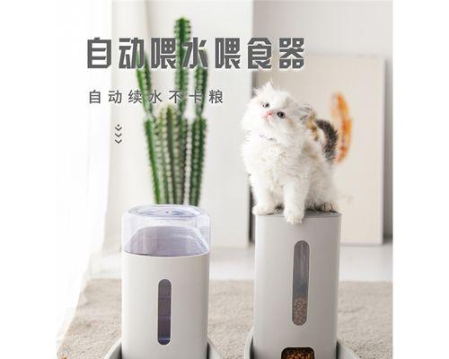 自制猫粮投喂器如何制作？使用方法是什么？