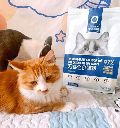 猫咪仅靠猫粮喂养是否足够？