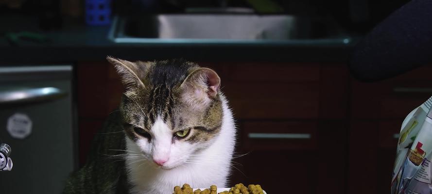 猫咪仅靠猫粮喂养是否足够？