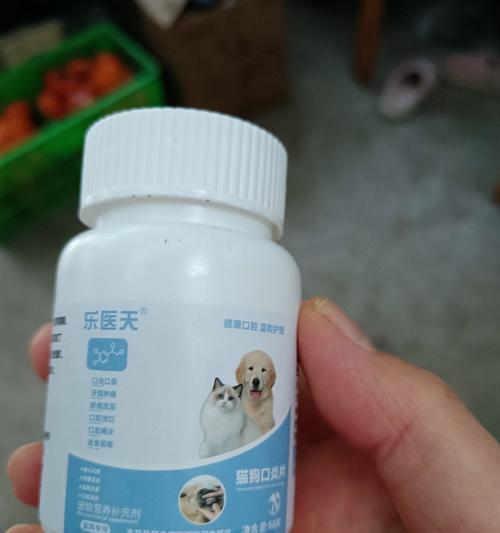 猫吐粮吐血丝怎么回事？吃什么药可以治疗？