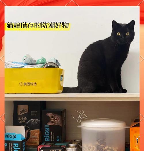 开口猫粮的正确储存保鲜方法是什么？