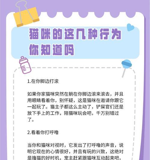 街猫缺少食物时应如何提供帮助？