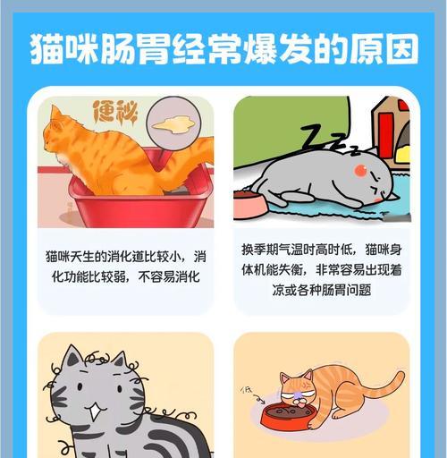 猫粮通常会出现什么问题？这些问题该如何解决？