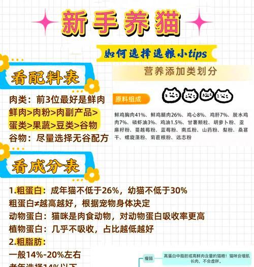 如何根据猫的体重选择合适的猫粮？