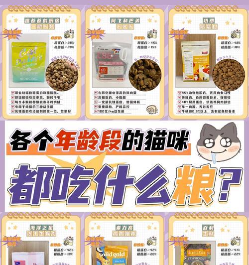 爵加猫粮怎么样？小奶猫吃猫粮注意什么事项？