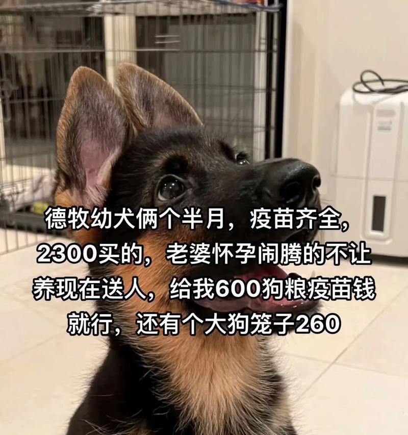 两个月大的德牧幼犬体重正常范围？