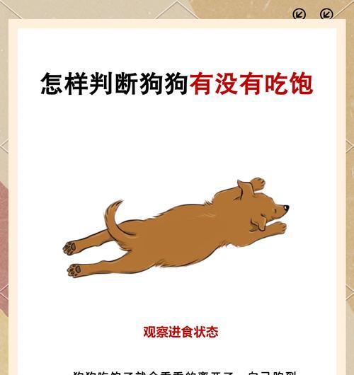 土狗为何喜欢吃猫粮？这种行为对健康有何影响？