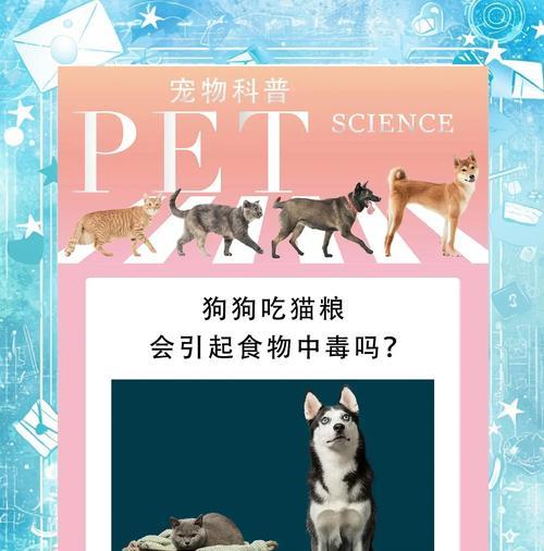土狗为何喜欢吃猫粮？这种行为对健康有何影响？