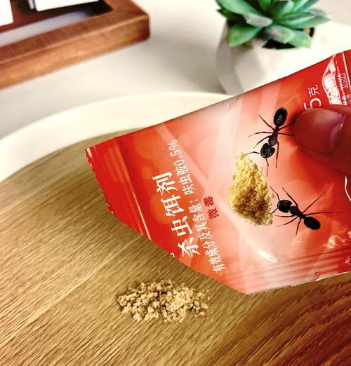 猫粮中发现蚂蚁应如何处理？有哪些预防措施？