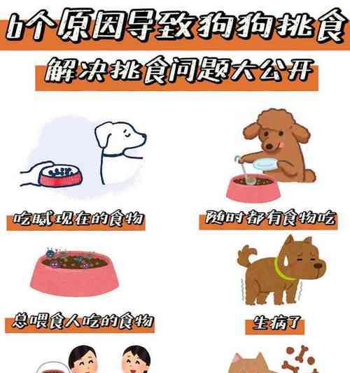 狗吐粮不吃怎么办？可能的原因和处理方法？