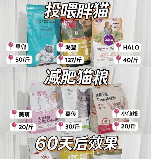 如何用猫粮喂猫保持健康体重？