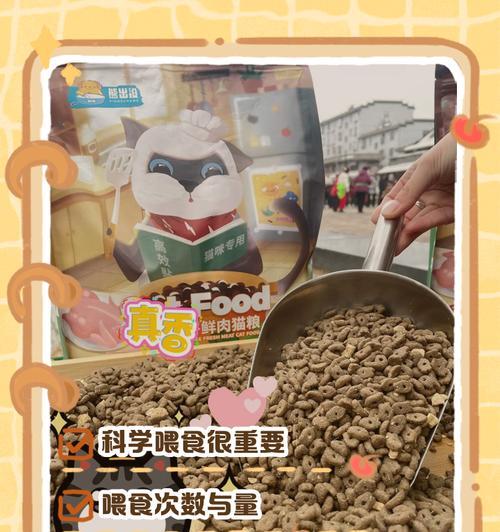 如何用猫粮喂猫保持健康体重？