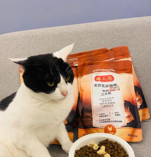 自制猫粮如何做才美味？有哪些健康食材推荐？
