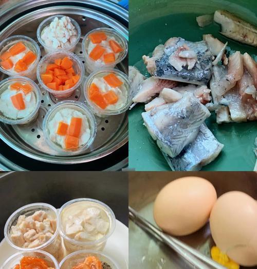 自制猫粮如何做才美味？有哪些健康食材推荐？