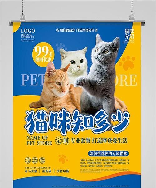 猫粮海报设计有哪些理念？如何制作简约风格？