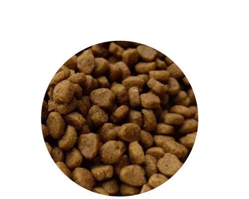 散装猫粮怎么判定好还是坏？评估散装猫粮质量的标准是什么？