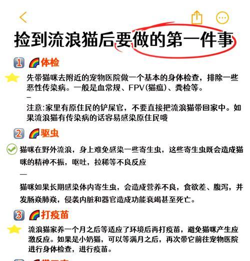 如何喂食流浪猫粮以促进消化？有哪些技巧？