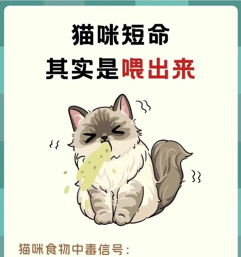 小孩误食猫粮会有什么后果？