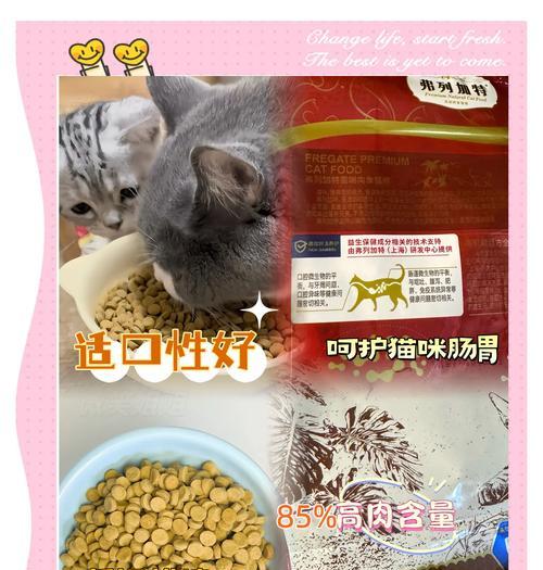 比特犬应该吃什么猫粮？有哪些推荐的品牌？